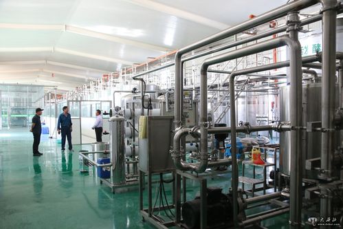 甘肃动力源枣业果酒枣旺枣福上市