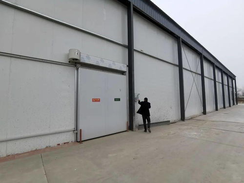 莘县农产品冷链仓储物流项目助力乡村振兴