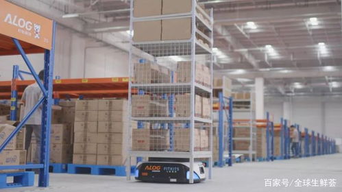 智能时代,仓储物流如何降低成本,提高效率