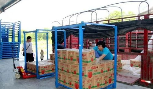 永州嘉信冷链仓储物流中心正式开业，助推区域物流体系升级