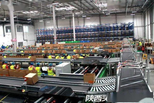 西安联手阿里破解农产品仓储物流难题，西北最大数字农业仓配体系正式启用