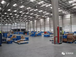 尹军琪谈物流仓储系统的柔性化设计 应对未来不确定性的关键路径